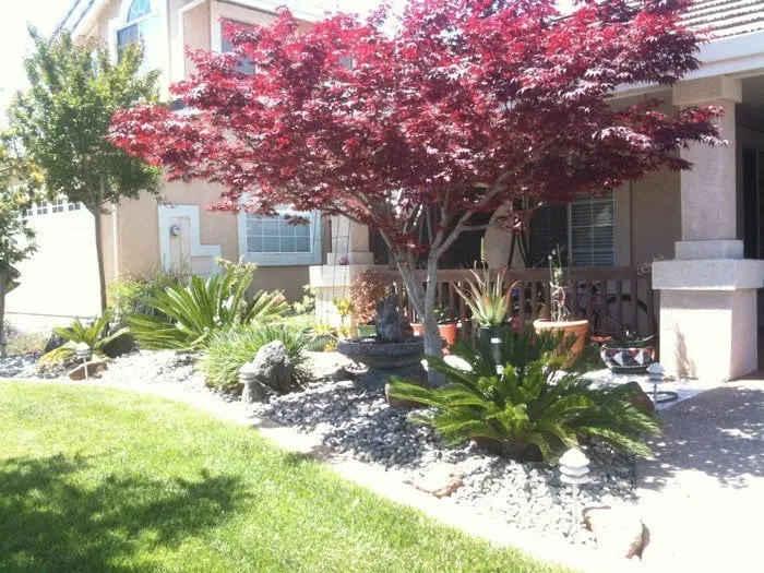 Top-rated outdoor landscaping in Livermore, CA - David's Landscaping Service