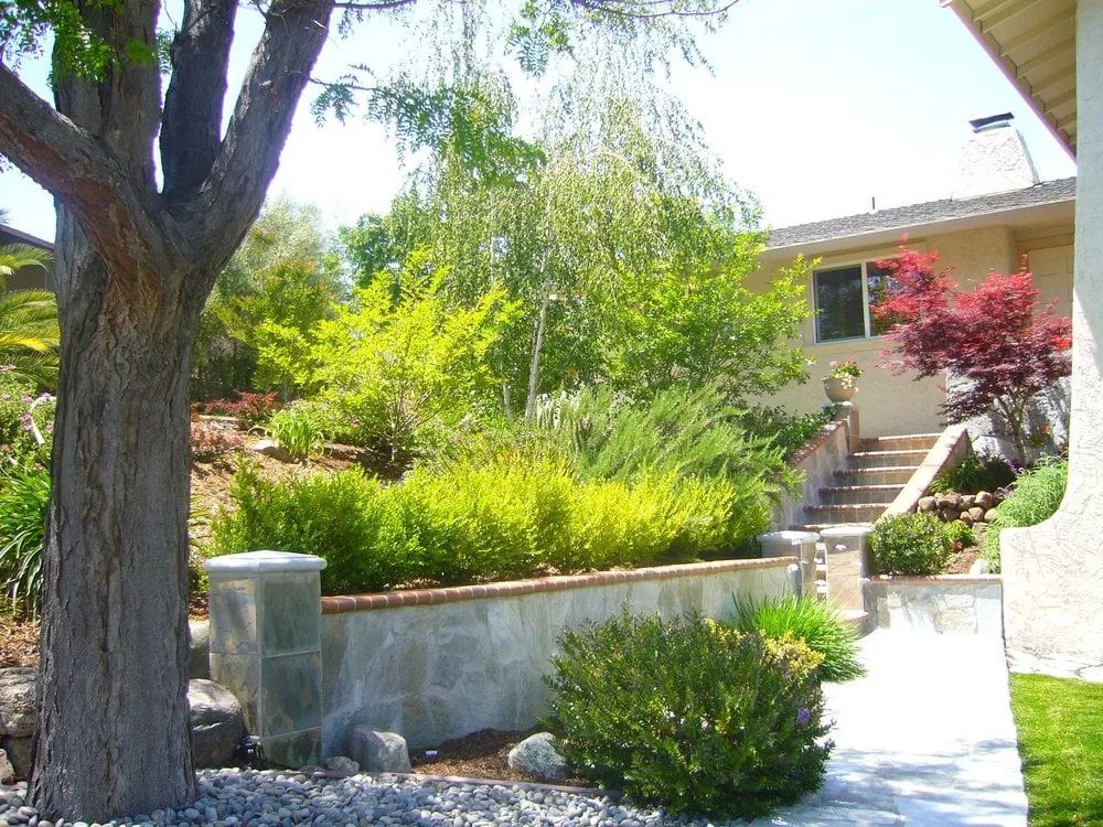 Expert lawn care service in Livermore, CA - David's Landscaping Service