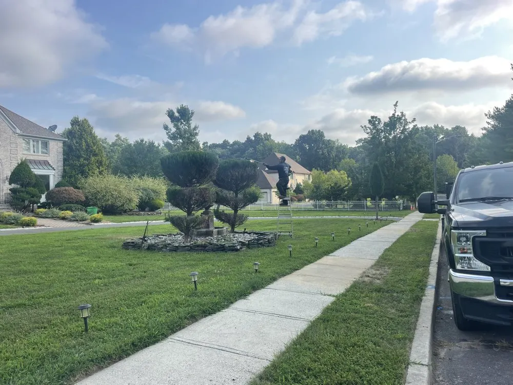 Professional landscape installation in Somerset, NJ by David’s landscaping