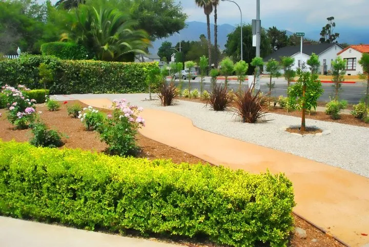 Local yard cleanup service in Temple City, CA - David's Landscaping