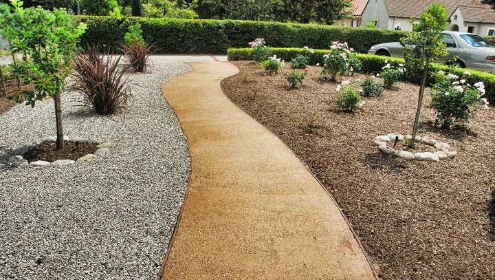 Professional yard cleanup service experts serving Temple City, CA - David's Landscaping