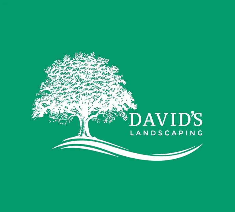 Affordable landscape design for year-round maintenance in Temple City, CA by David's Landscaping