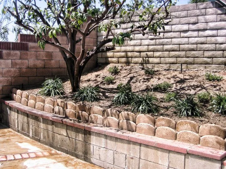 Professional garden landscaping in Temple City, CA by David's Landscaping
