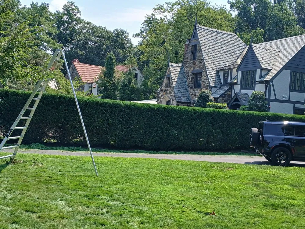 Affordable garden landscaping in White Plains, NY by David's Landscaping