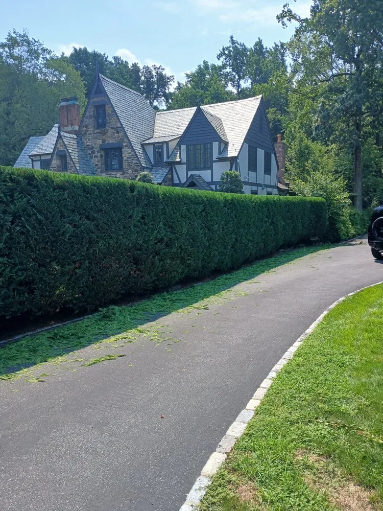 Affordable lawn mowing service in White Plains, NY - David's Landscaping