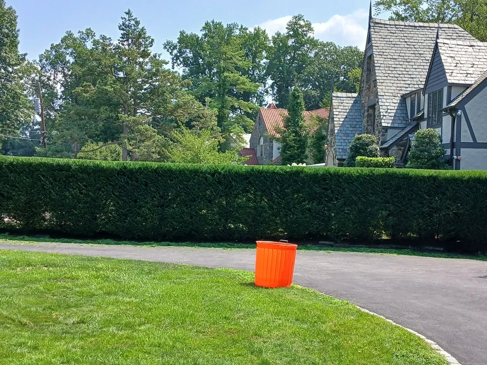 Expert yard maintenance in White Plains, NY by David's Landscaping