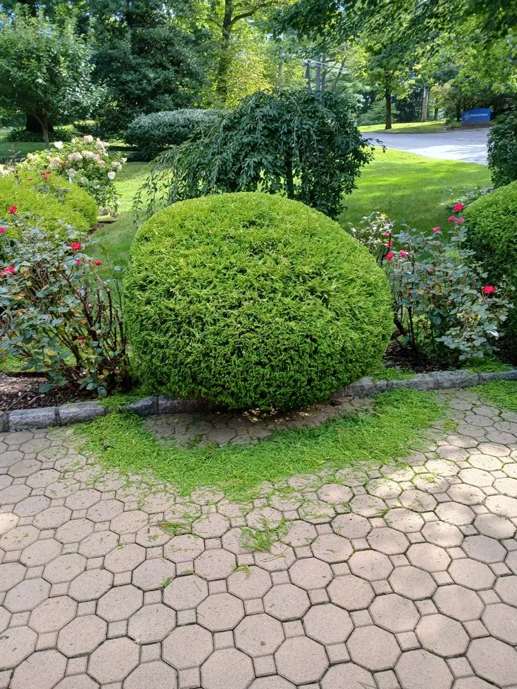 Trusted yard maintenance for beautiful yards in White Plains, NY by David's Landscaping