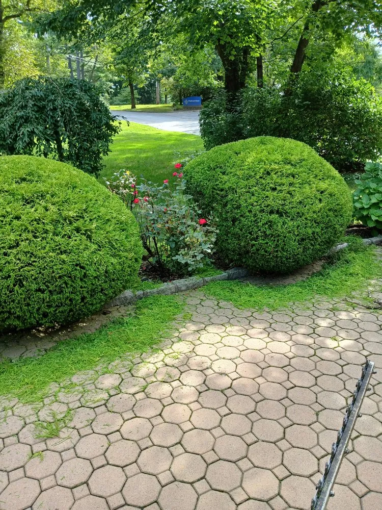 Expert garden landscaping experts serving White Plains, NY - David's Landscaping