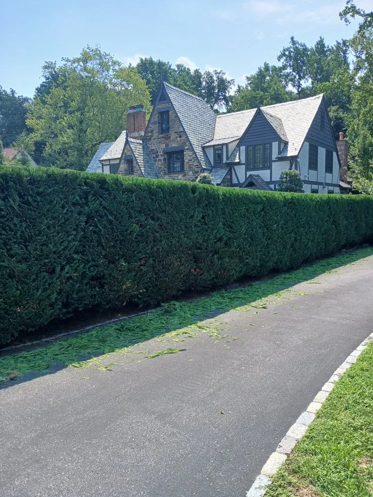 Affordable lawn care service for beautiful yards in White Plains, NY by David's Landscaping