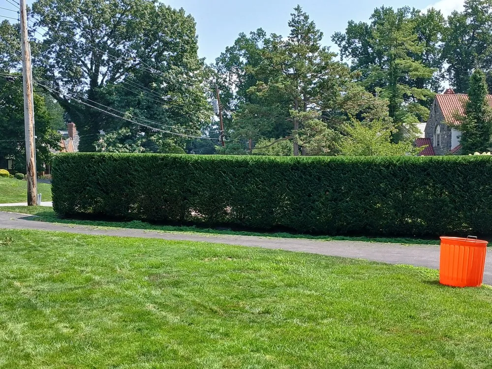 Expert lawn care service in White Plains, NY - David's Landscaping