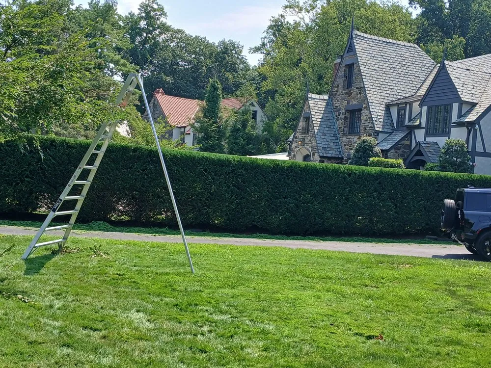Custom landscaping services in White Plains, NY - David's Landscaping