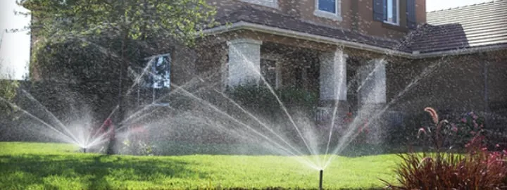 Trusted landscape design for beautiful yards in Colton, CA by David's Lawn & Garden Service