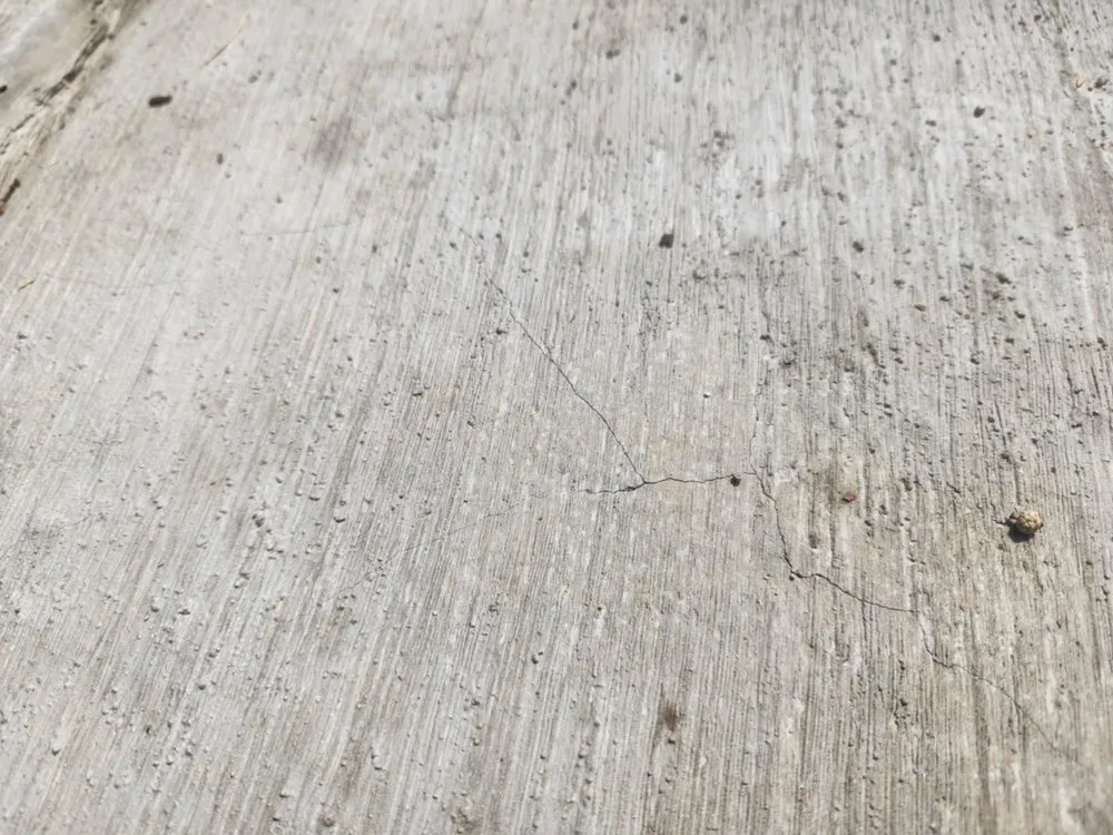 Professional lawn care service in Leander, TX - David's Lawn & Tree services