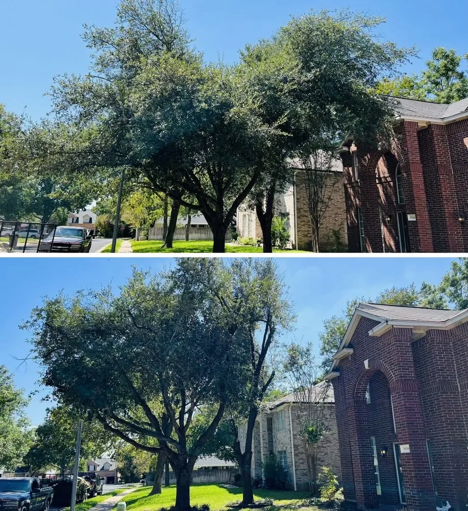 Reliable landscape installation for beautiful yards across Leander, TX - David's Lawn & Tree services