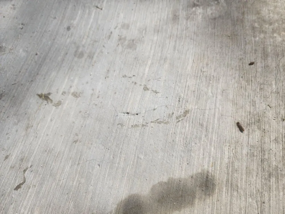 Expert residential landscaping with custom design across Leander, TX - David's Lawn & Tree services