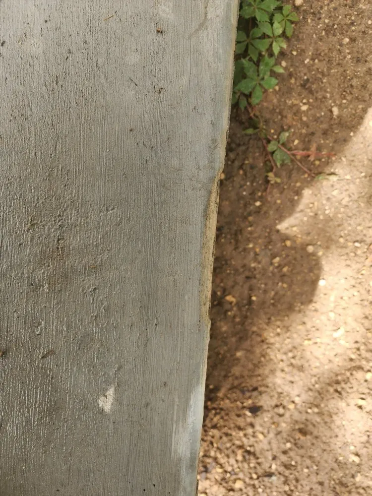 Reliable yard cleanup service experts serving Leander, TX - David's Lawn & Tree services