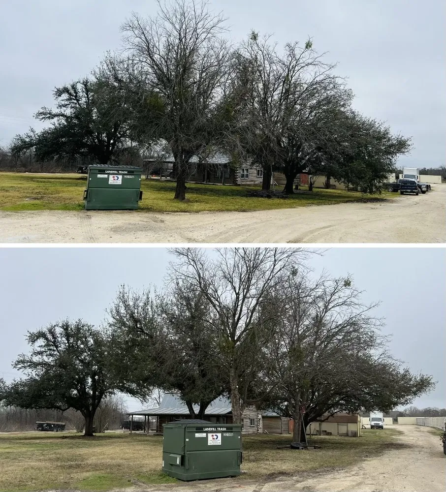 Top-rated landscape installation with custom design across Leander, TX - David's Lawn & Tree services