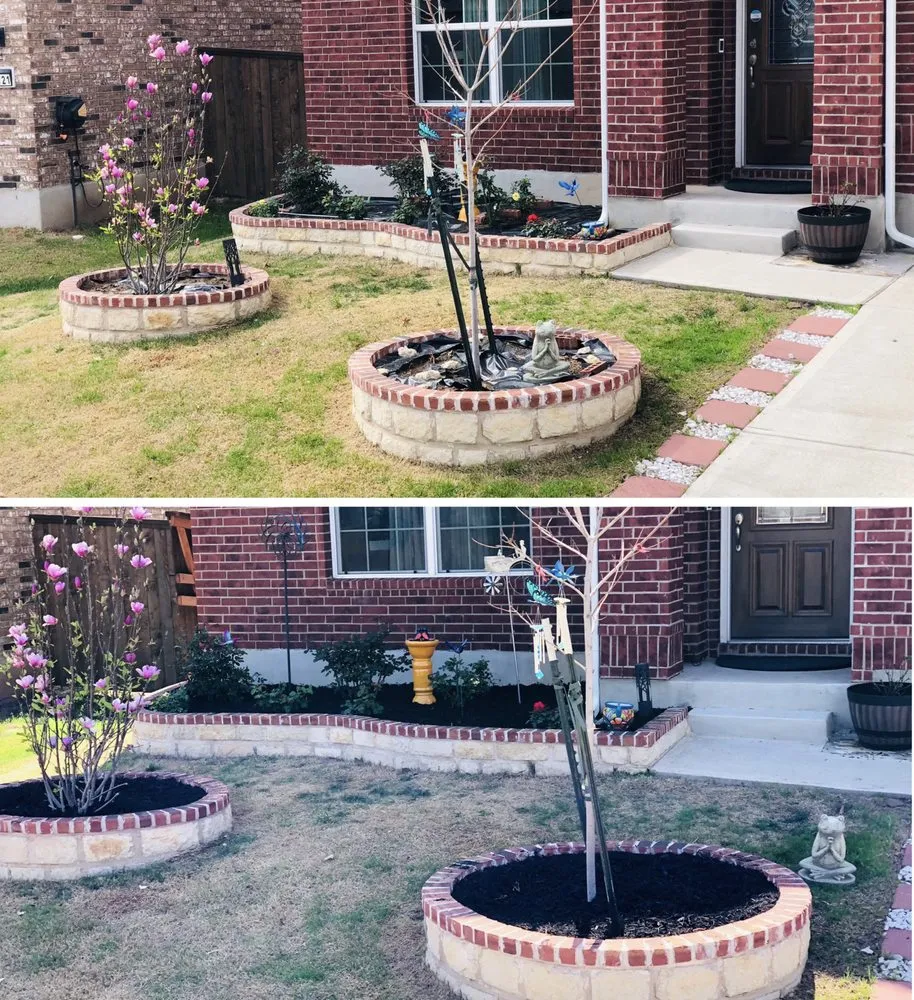 Professional lawn care service near you across Leander, TX - David's Lawn & Tree services