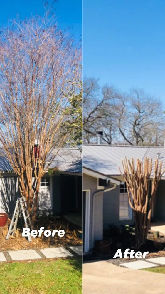 Expert outdoor landscaping for homes in Leander, TX by David's Lawn & Tree services