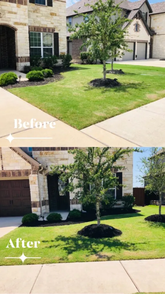 Professional landscape design in Leander, TX - David's Lawn & Tree services
