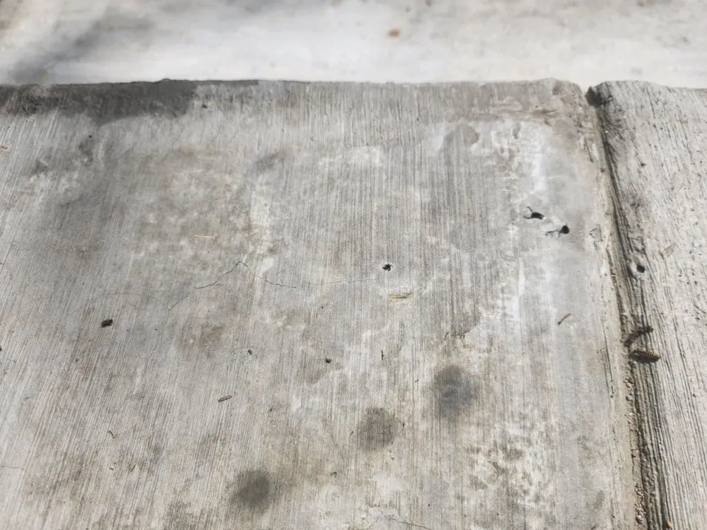 Local yard cleanup service experts serving Leander, TX - David's Lawn & Tree services