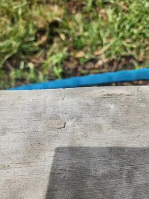 David's Lawn & Tree services Logo