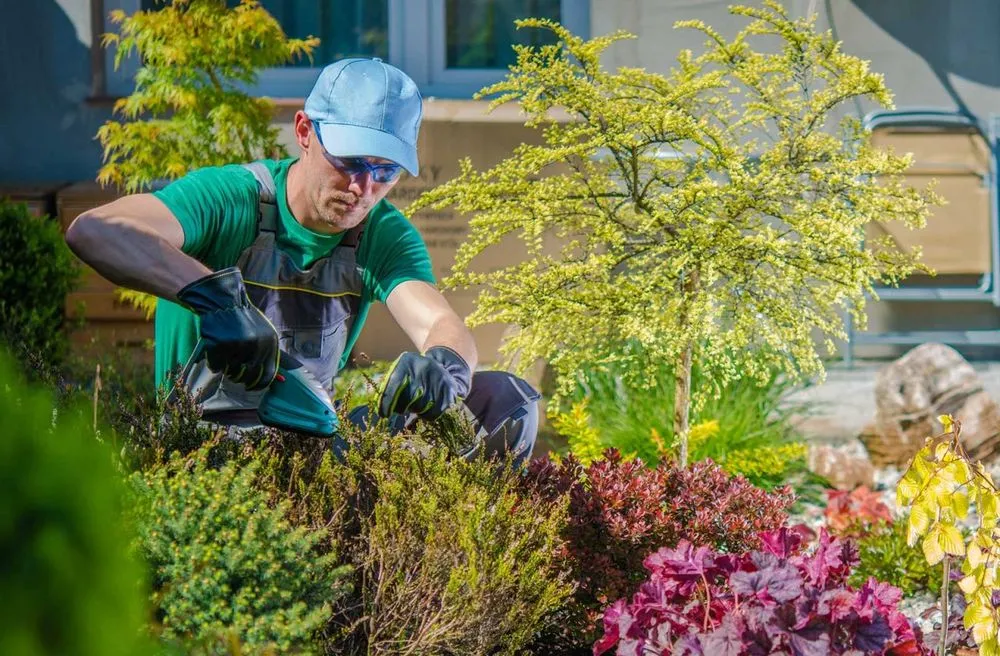 Custom landscape design experts serving Proctorville, OH - David's Lawn and Home Care