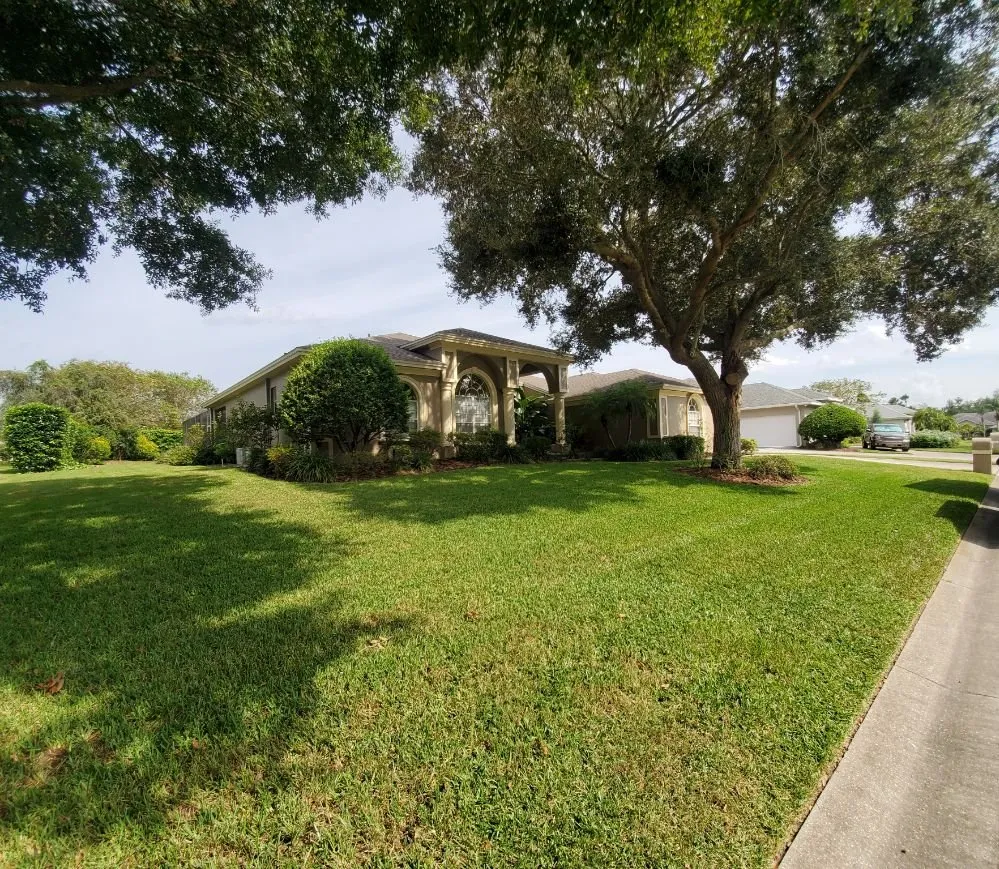 Top-rated garden landscaping for outdoor upgrades across Lakeland, FL - David's Lawn and Lighting