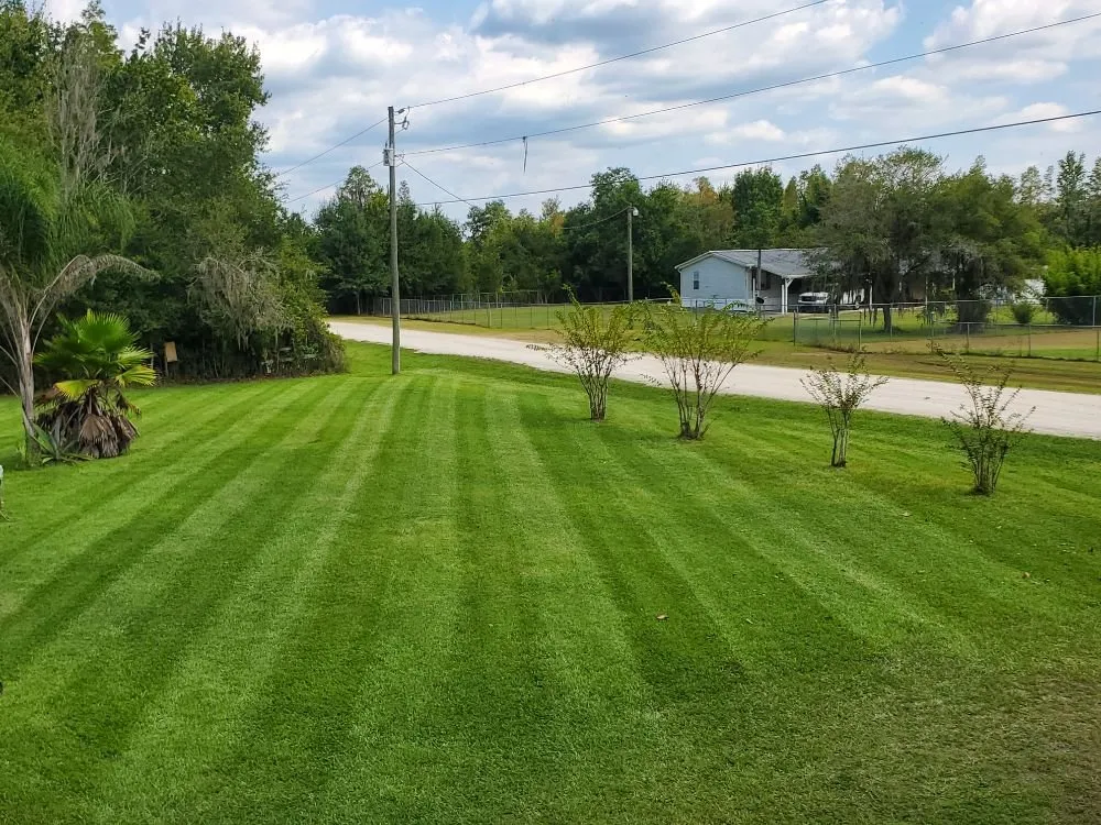 Top-rated outdoor landscaping in Lakeland, FL - David's Lawn and Lighting