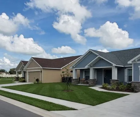 David's Lawn and Lighting Logo