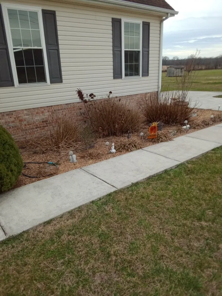 Affordable lawn care service in BEECHGROVE, TN - David's Lawn And Maintenance