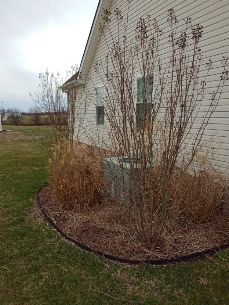 Trusted outdoor landscaping in BEECHGROVE, TN - David's Lawn And Maintenance