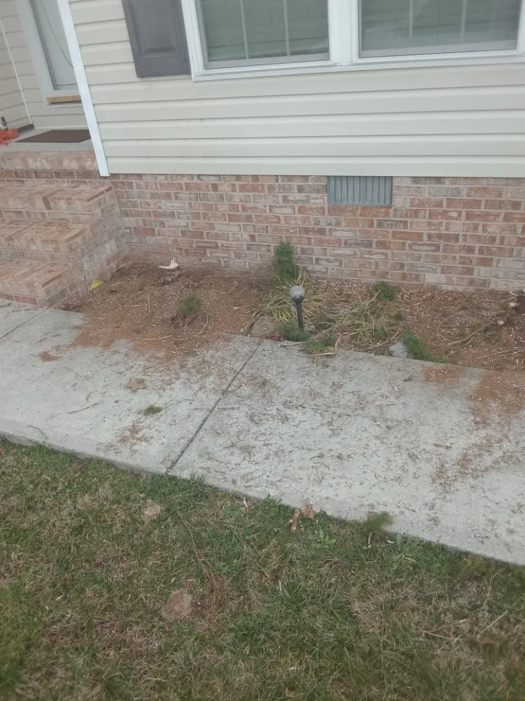 Affordable outdoor landscaping for residential properties across BEECHGROVE, TN - David's Lawn And Maintenance