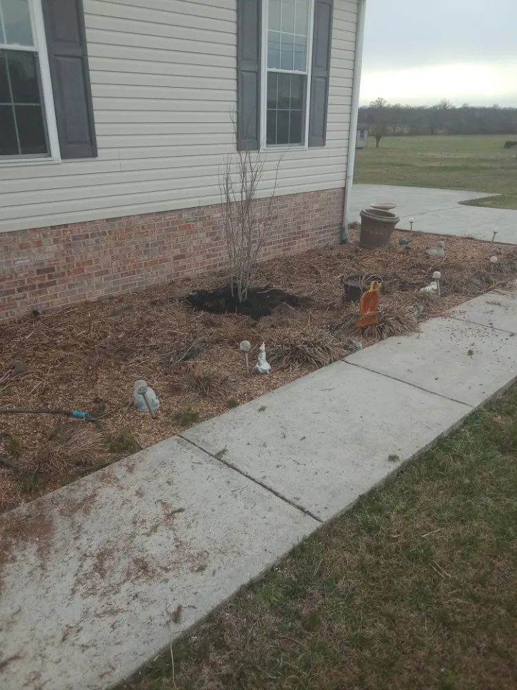Local yard maintenance in BEECHGROVE, TN by David's Lawn And Maintenance