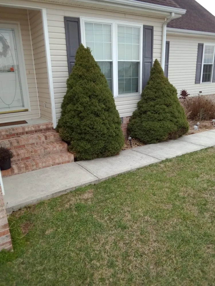 Reliable residential landscaping in BEECHGROVE, TN - David's Lawn And Maintenance