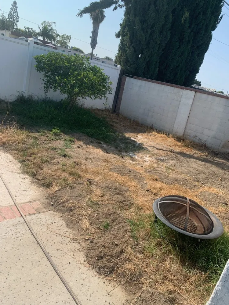 Affordable landscape installation experts serving Huntington Park, CA - David’s Lawn Care and Landscaping