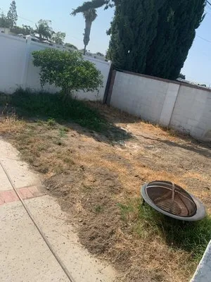 David’s Lawn Care and Landscaping