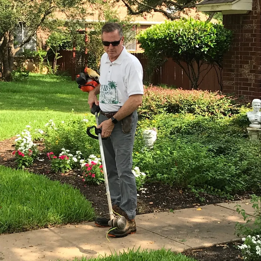 Trusted landscape design in Austin, TX - David's Lawn Care