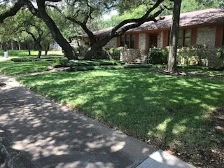 Top-rated landscape installation in Austin, TX - David's Lawn Care