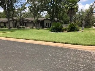 Trusted yard cleanup service in Austin, TX - David's Lawn Care