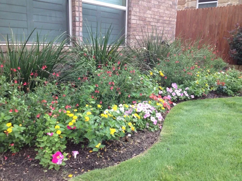 Trusted yard cleanup service near you across Austin, TX - David's Lawn Care