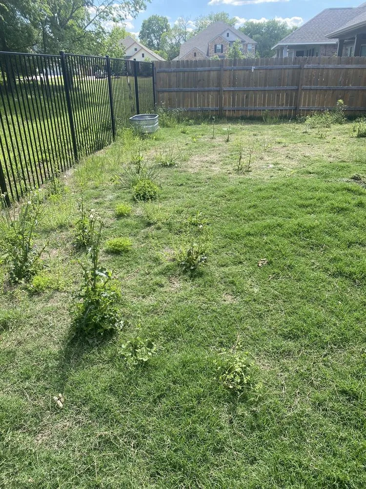 Reliable landscaping services in Austin, TX by David's Lawn Care