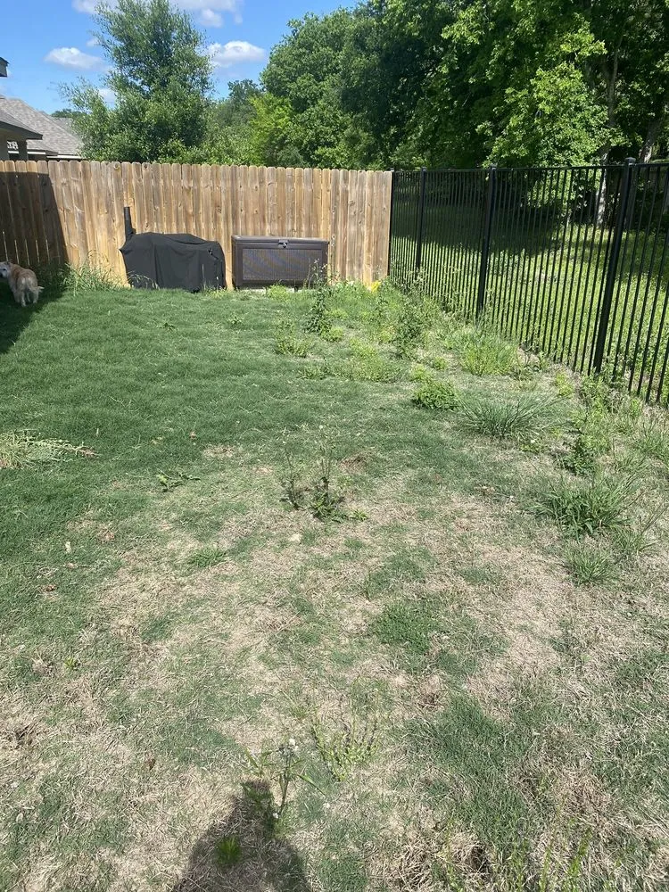 Reliable residential landscaping experts serving Austin, TX - David's Lawn Care