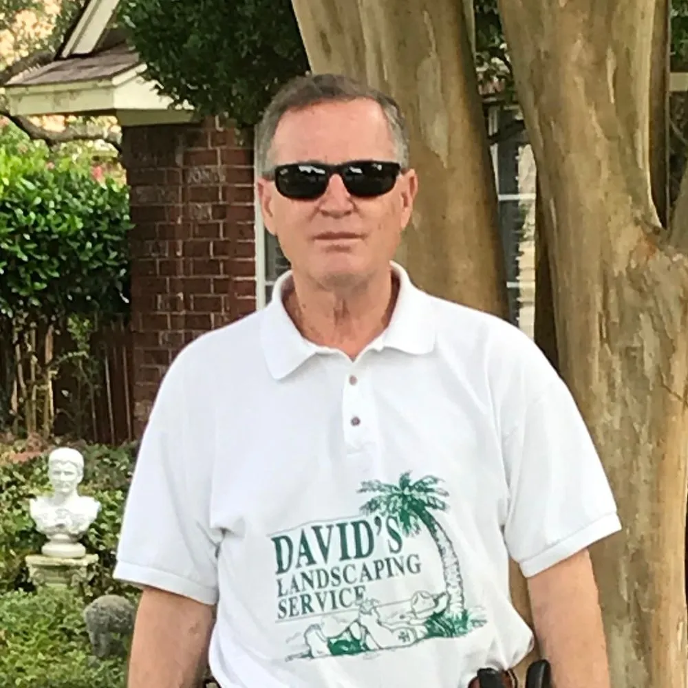 Expert landscape installation experts serving Austin, TX - David's Lawn Care