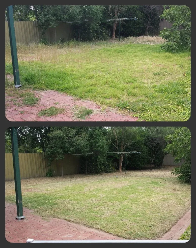 Top-rated lawn mowing service experts serving Chicago Heights, IL - David’s Lawn Care