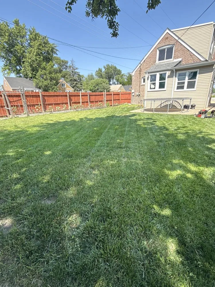 Affordable landscaping services near you across Chicago Heights, IL - David’s Lawn Care