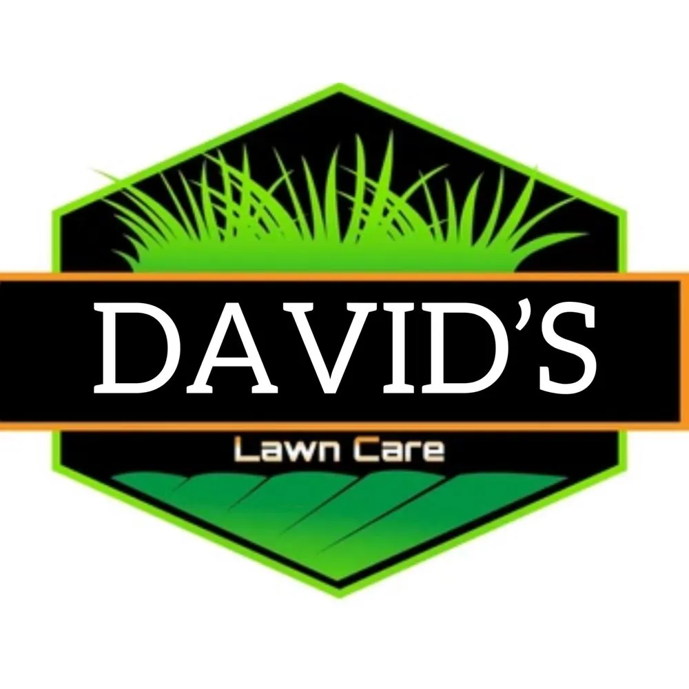 Reliable lawn care service in Niagara Falls, NY by David’s Lawn Care