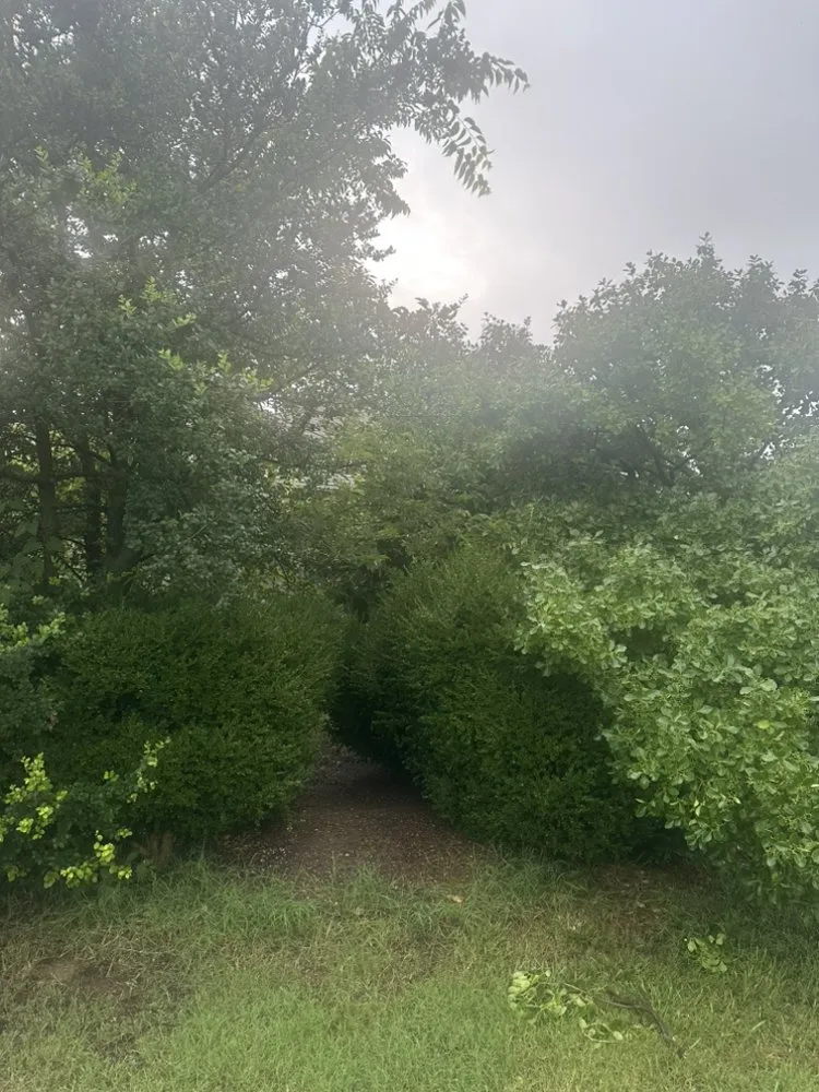 Reliable residential landscaping for year-round maintenance in Oklahoma City, OK by David’s Lawn Care