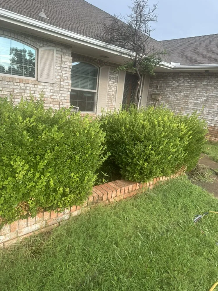 Trusted lawn care service for year-round maintenance across Oklahoma City, OK - David’s Lawn Care