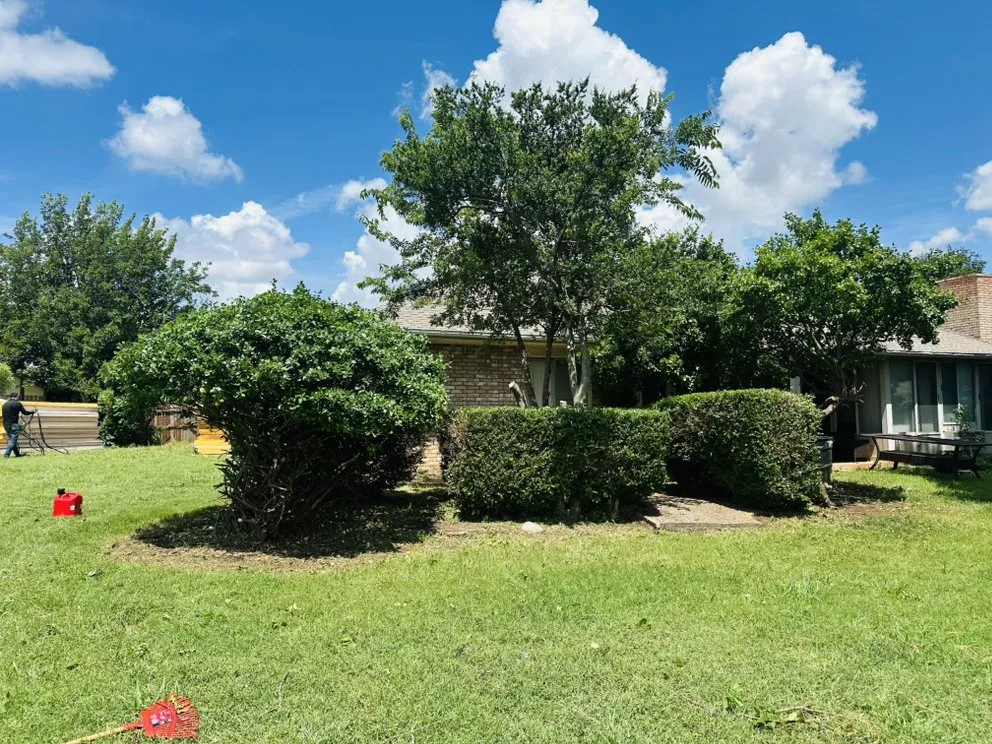 Reliable landscaping services in Oklahoma City, OK by David’s Lawn Care